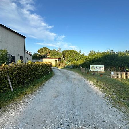 - Il Casale Toscano - 1900Mt From Leaning Tower - No Breakfast - Free Parking - Self Check-In Only From June 15Th Pisa Exterior foto